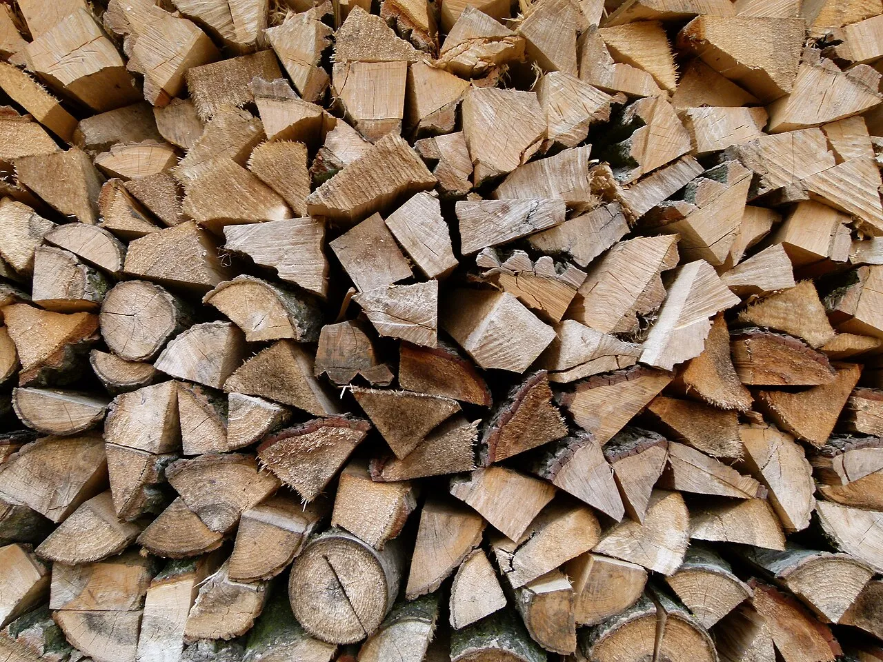 Dry beech firewood