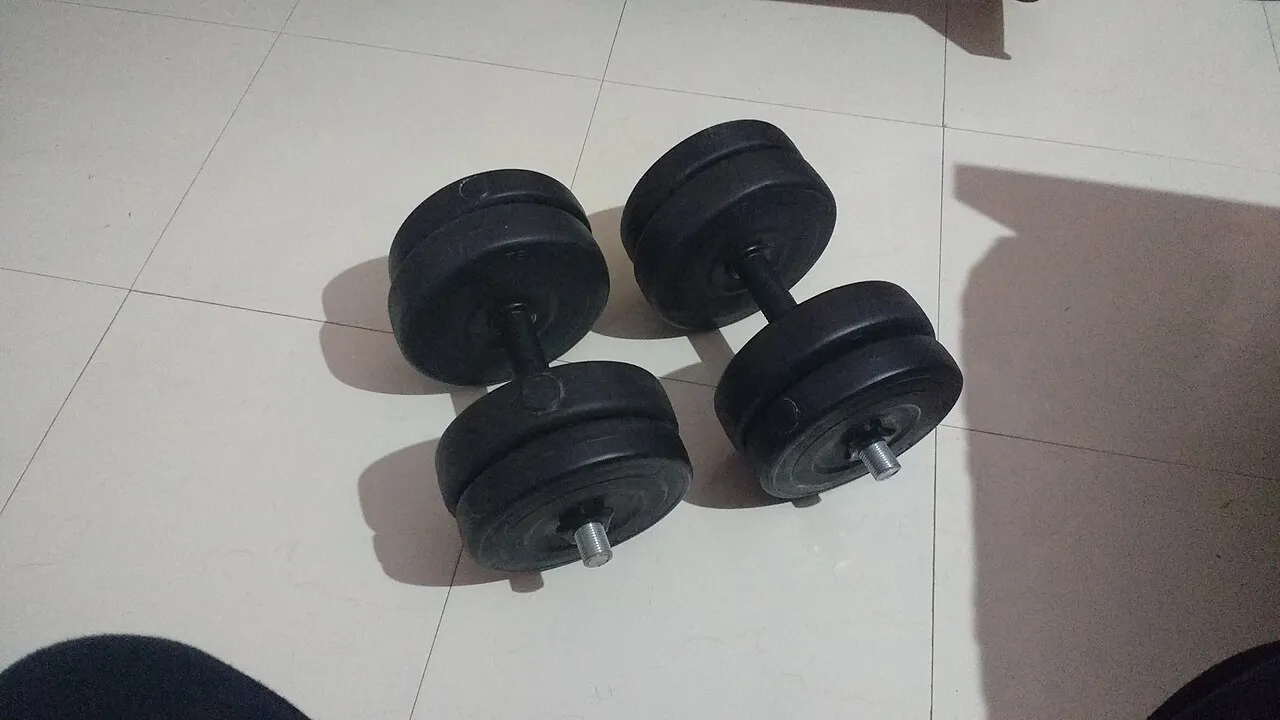 Adjustable dumbbells 2x20 kg